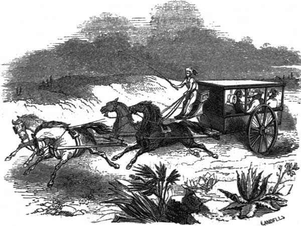 DESERT CARRIAGE